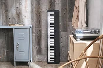 Amazon.com: Casio Casiotone CT-S1 76-Key Portable Keyboard